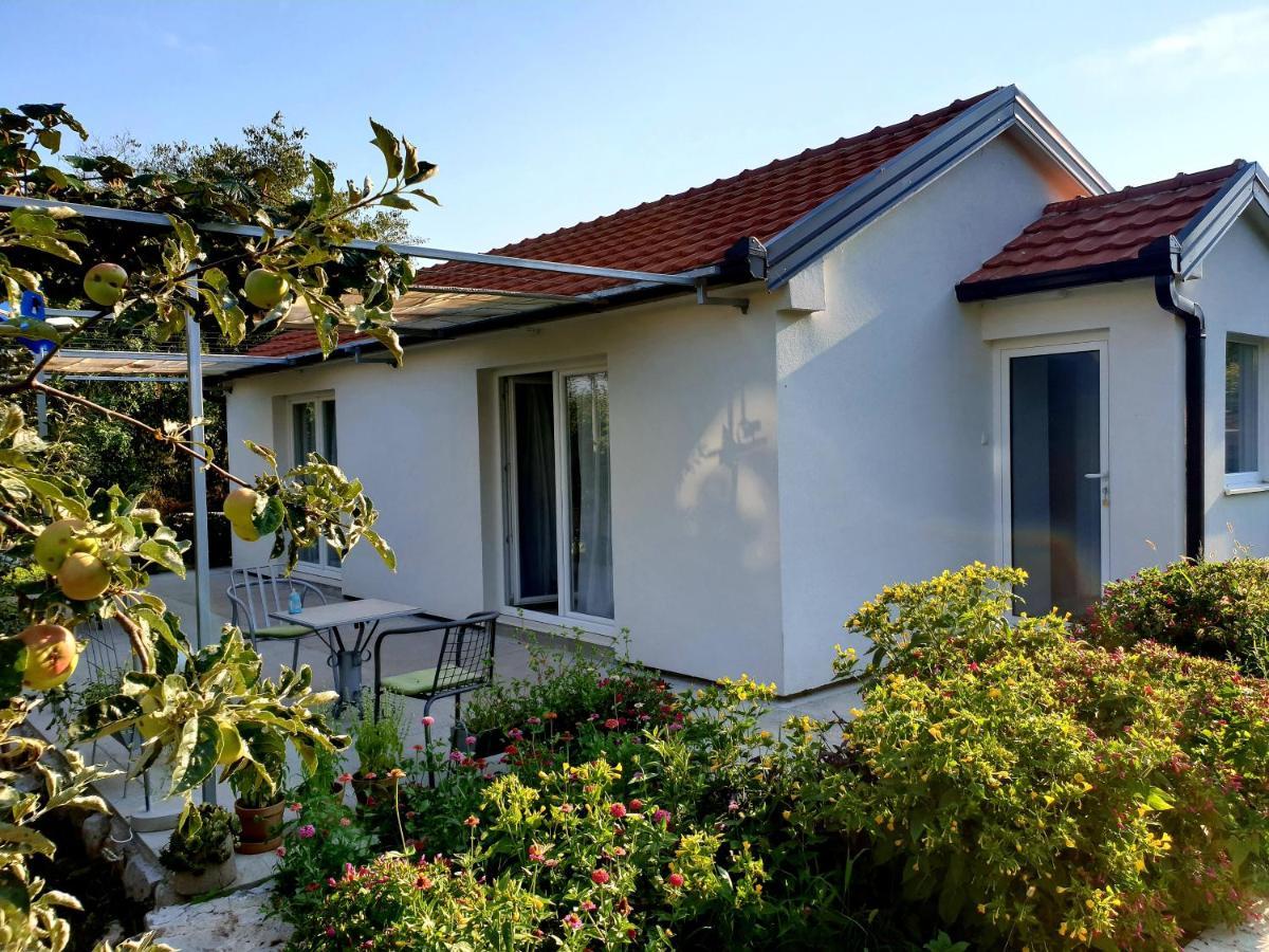 Apartments Minex Trebin Dış mekan fotoğraf